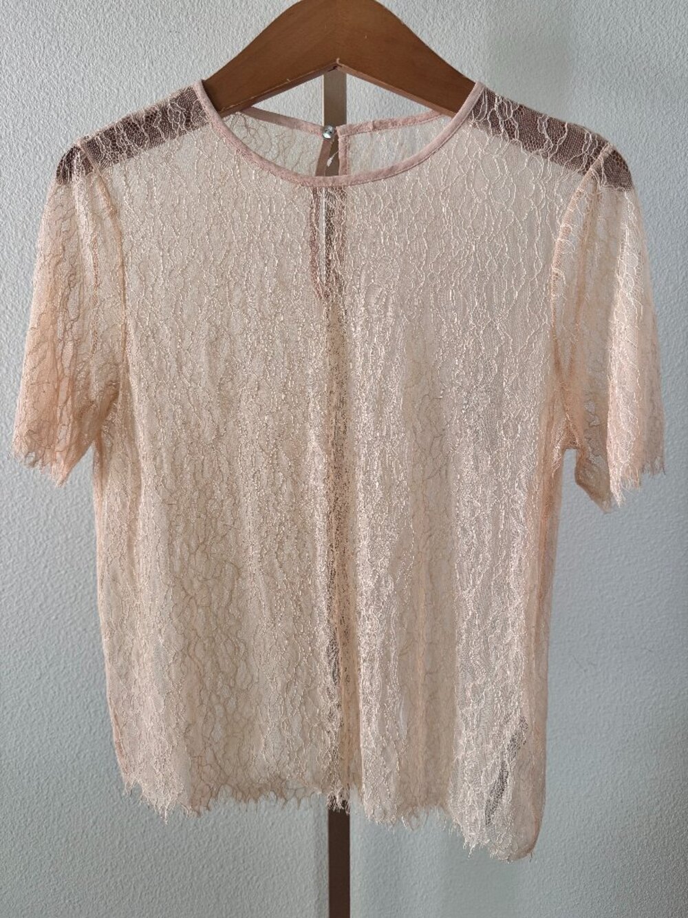 Zara Sheer Lace Top Small Peach Taupe Coquette Romantic Festival Mesh Blouse